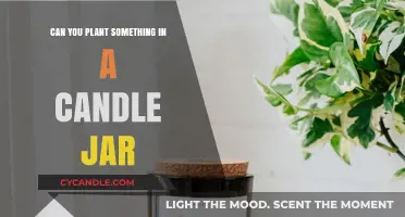 Repurpose Candle Jars: Creative Ways to Plant in Glass Containers