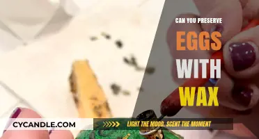 Wax Preservation for Eggs: A Natural Method to Extend Freshness