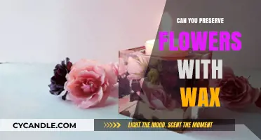 Preserving Flowers with Wax: A Creative Guide to Long-Lasting Blooms