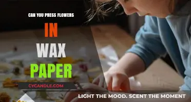 Pressing Flowers in Wax Paper: A Simple Preservation Technique