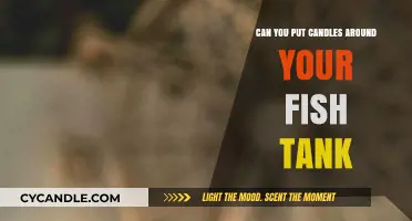 Candles Around Fish Tanks: Safe or Risky Aquarium Decor Idea?