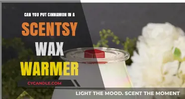 Cinnamon in Scentsy Wax Warmers: A Fragrant or Flammable Idea?