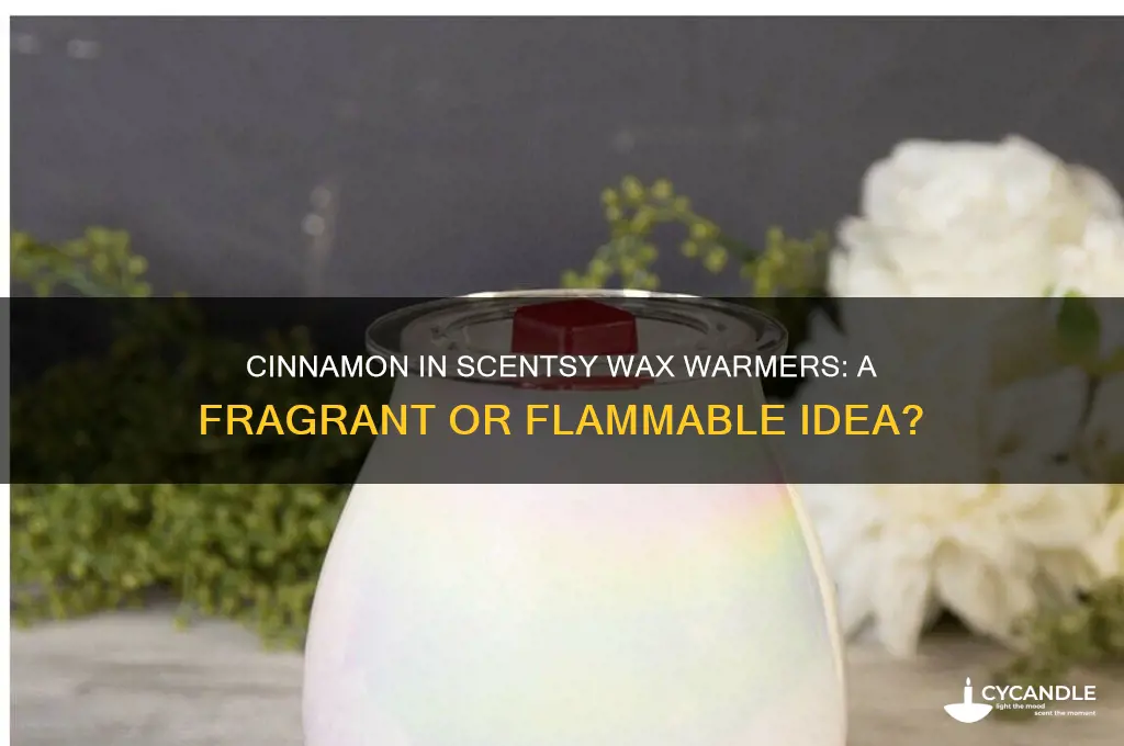 can you put cinnamon in a scentsy wax warmer