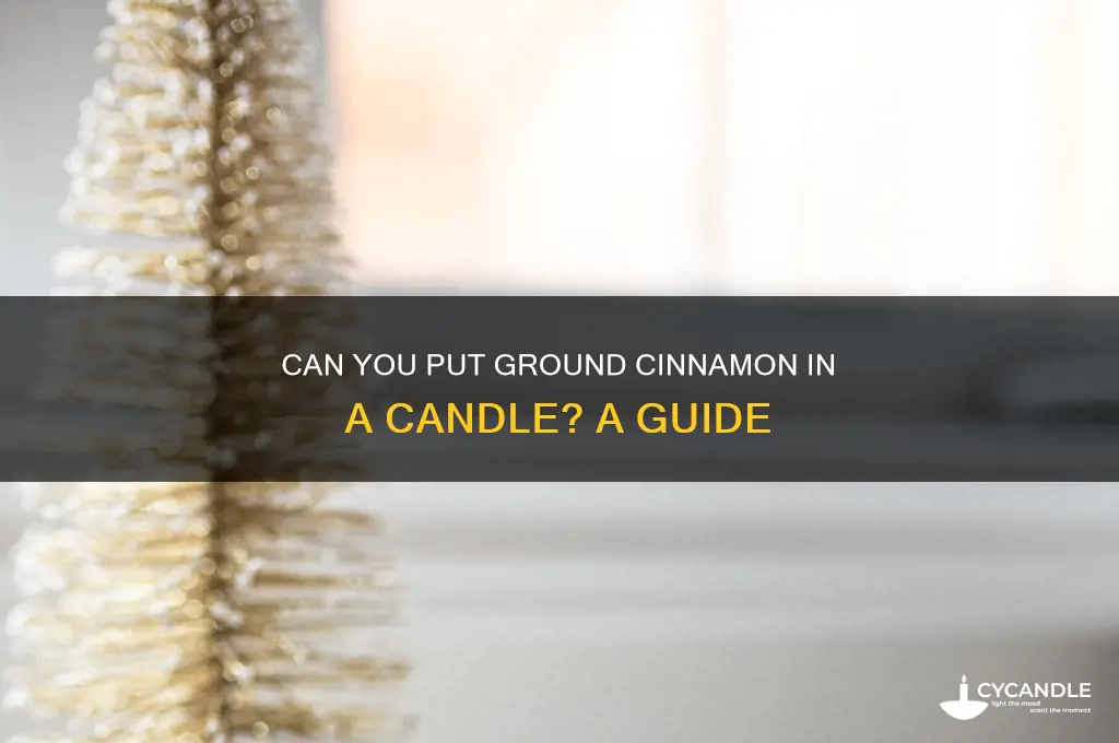 can you put ground cinnamon in a candle