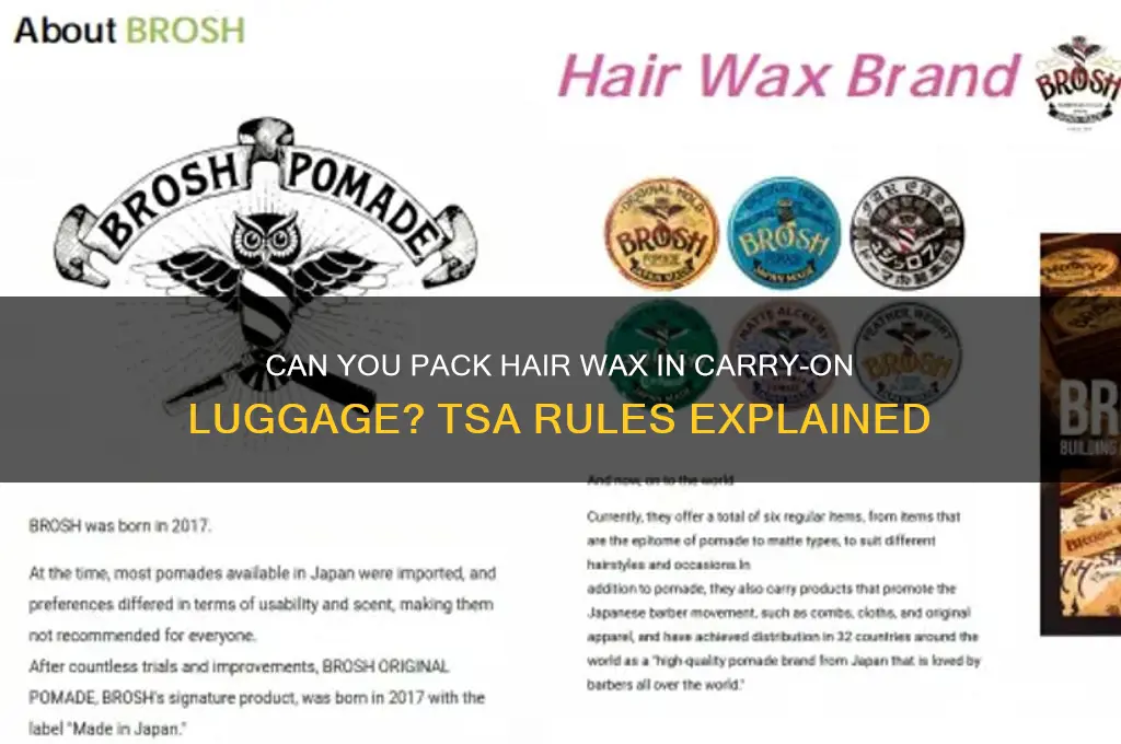 can you put hair wax in carry on