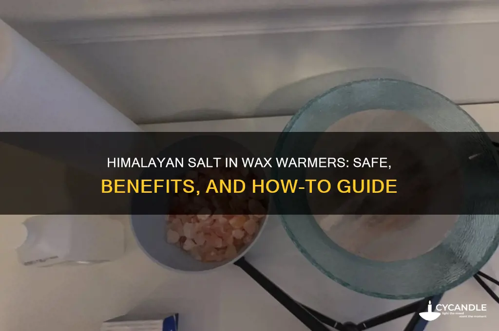 can you put himalayan salt in 5he wax warmer