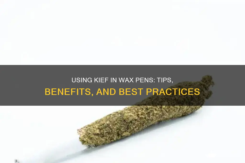can you put kief in a wax pen