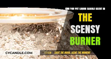 Using Liquid Candle Scents in Scentsy Burners: Safe or Risky?
