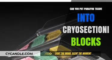 Using Paraffin Tissue in Cryosectioning Blocks: Best Practices and Tips