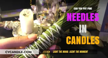 Can You Put Pine Needles in Candles? A DIY Guide