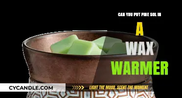 Pine Sol in Wax Warmers: Safe or Risky Practice?