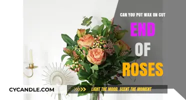 Waxing Rose Stems: A Cut Flower Preservation Technique Explained