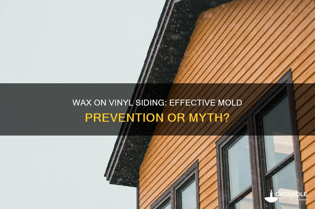 can you put wax on vinyl siding to prevent mold