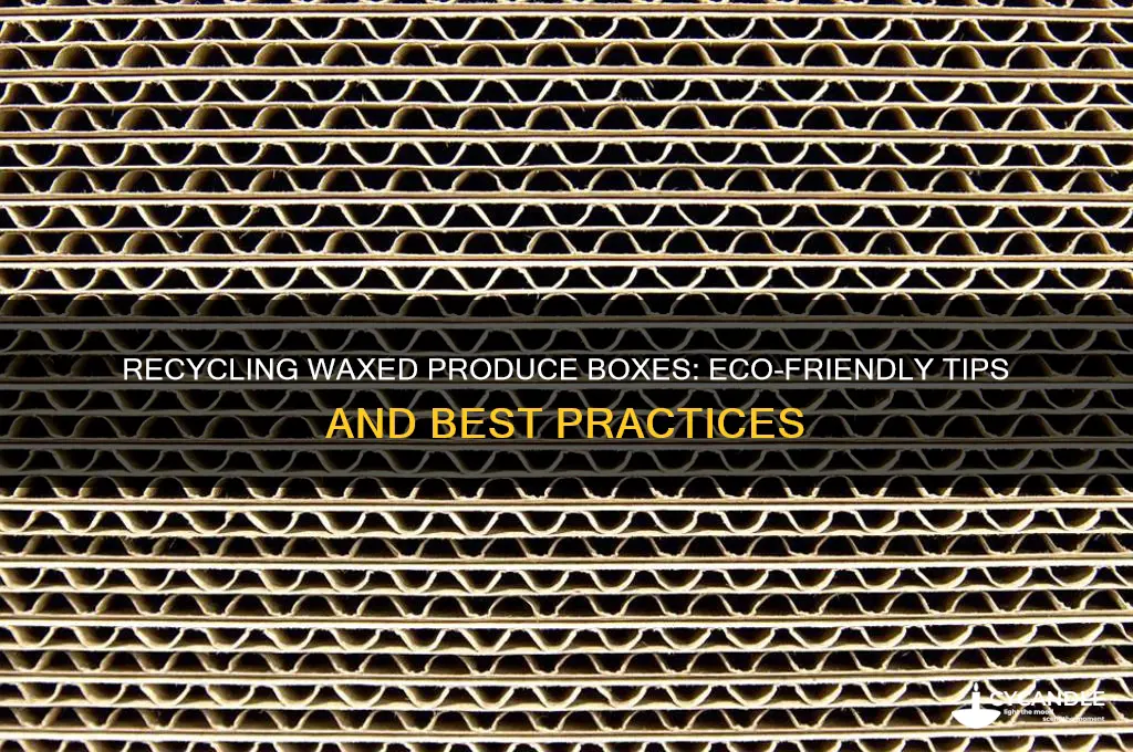 can you recycle waxed produce boxes