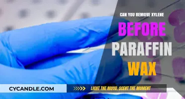 Removing Xylene Before Paraffin Wax: Techniques and Best Practices