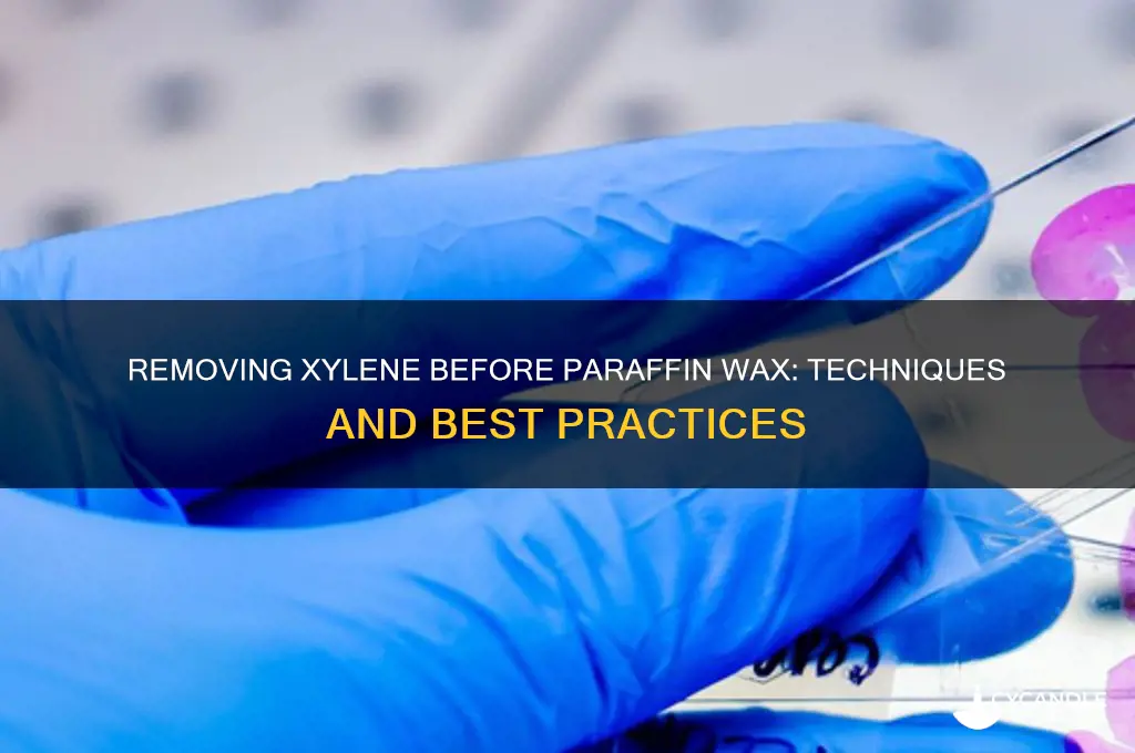 can you remove xylene before paraffin wax