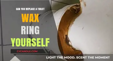 DIY Toilet Wax Ring Replacement: A Step-by-Step Guide for Homeowners