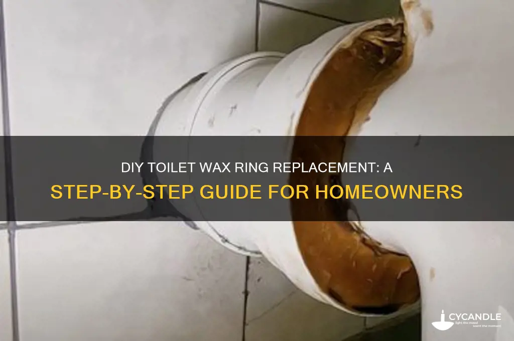 can you replace a toilet wax ring yourself