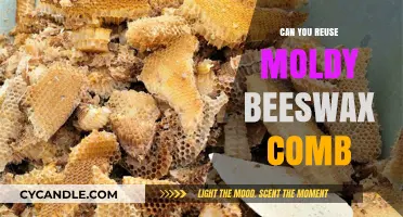Reusing Moldy Beeswax Comb: Risks, Salvage Tips, and Safety Measures