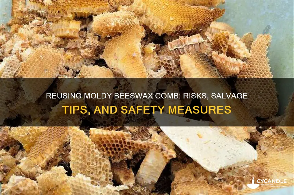 can you reuse moldy beeswax comb