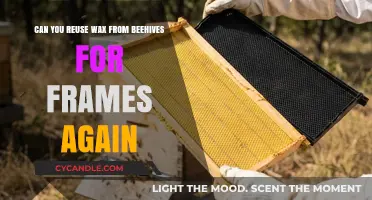 Reusing Beeswax from Beehives: A Sustainable Approach to Frame Making