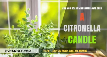 Roasting Marshmallows Over Citronella Candles: Safe or Risky Idea?