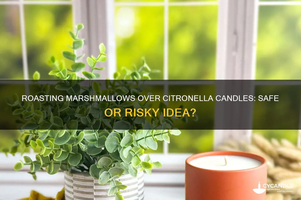 can you roast marshmallows over a citronella candle
