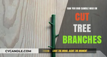 Rubbing Candle Wax on Cut Tree Branches: Benefits and How-To Guide