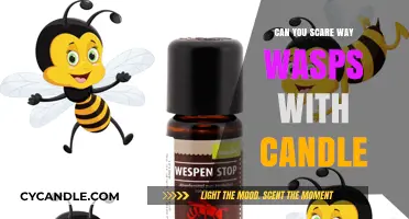 Candle Trick to Deter Wasps: Fact or Fiction?