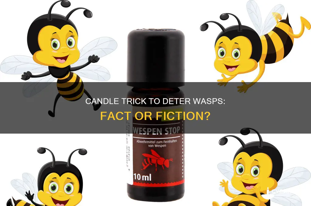 can you scare way wasps with candle