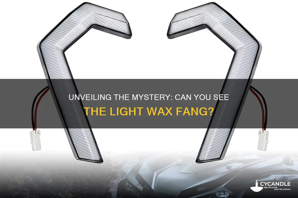 can you see the light wax fang