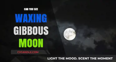 Spotting the Waxing Gibbous Moon: Tips for Night Sky Observers