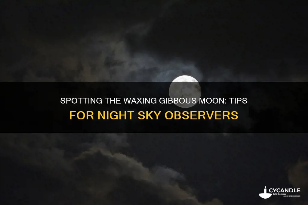 can you see waxing gibbous moon