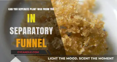 Separating Plant Wax from THC: A Guide Using Separatory Funnels