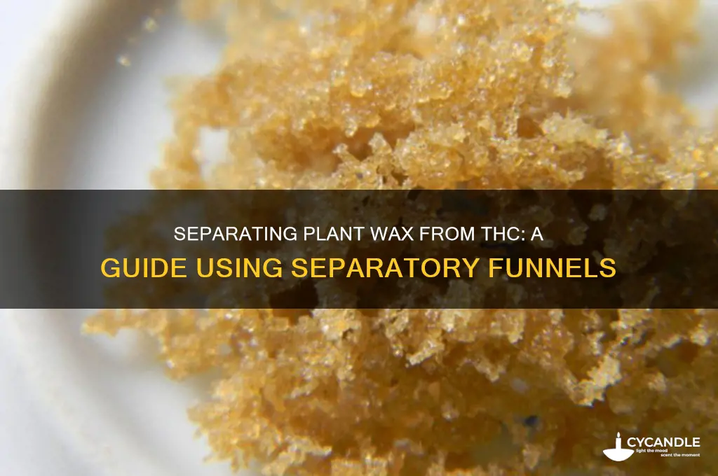 can you seperate plant wax from thc in separatory funnel