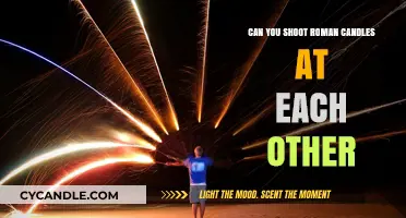 Shooting Roman Candles at Each Other: Risky Fun or Dangerous Idea?