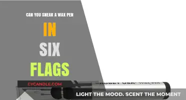 Sneaking a Wax Pen into Six Flags: Risks and Realities