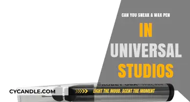 Sneaking a Wax Pen into Universal Studios: Risks and Tips