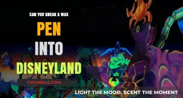 Sneaking a Wax Pen into Disneyland: Risks and Realities Explained