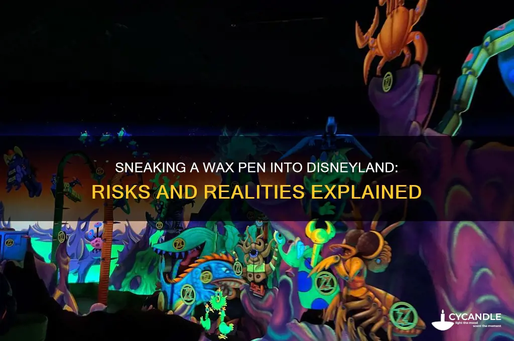 can you sneak a wax pen into disneyland