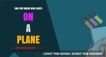Sneaking Wax Carts on a Plane: Risks, Rules, and Consequences