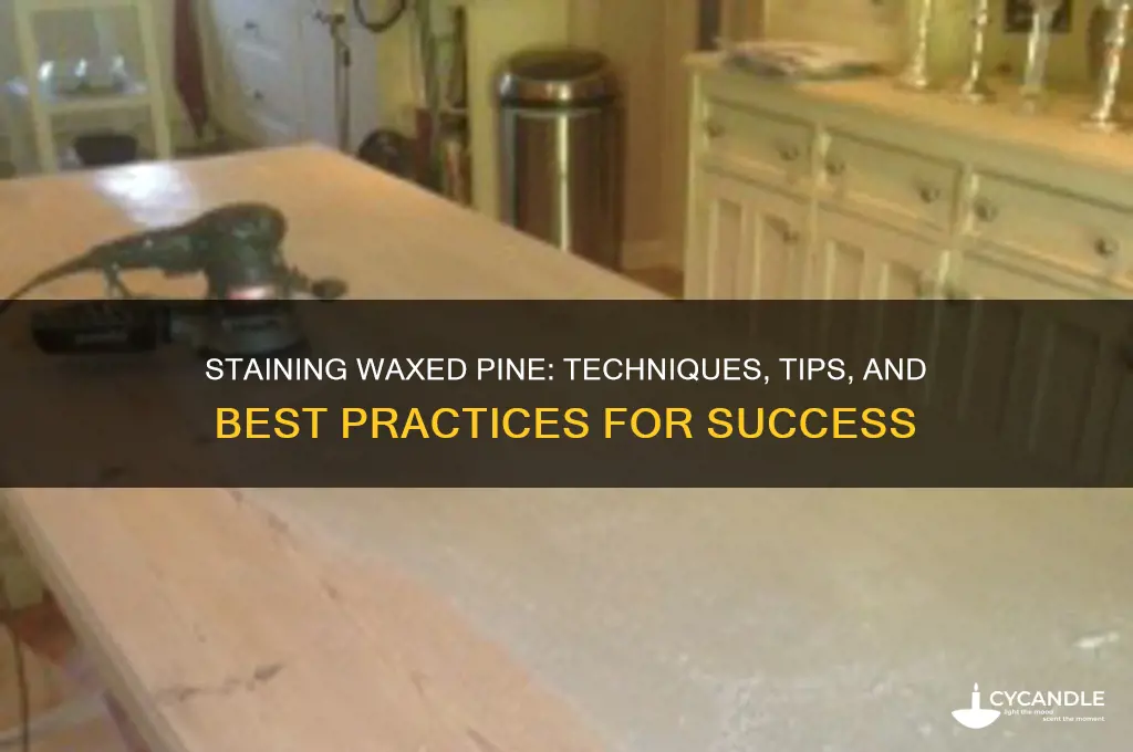 can you stain waxed pine