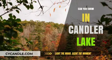Swimming in Candler Lake: Safety, Rules, and What You Need to Know