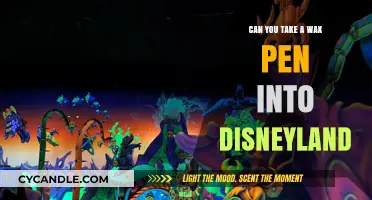 Can You Bring a Wax Pen to Disneyland? Rules Explained
