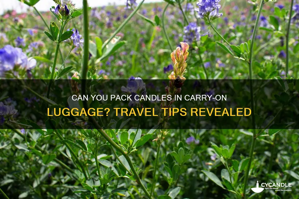 can you take candles in cabin baggage