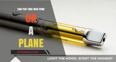 Can Wax Pens Fly? TSA Rules for Vape Pens on Planes