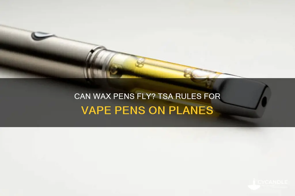 can you take wax pens on a plane