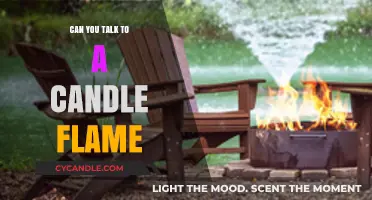 Whispering to Fire: Can You Communicate with a Candle Flame?