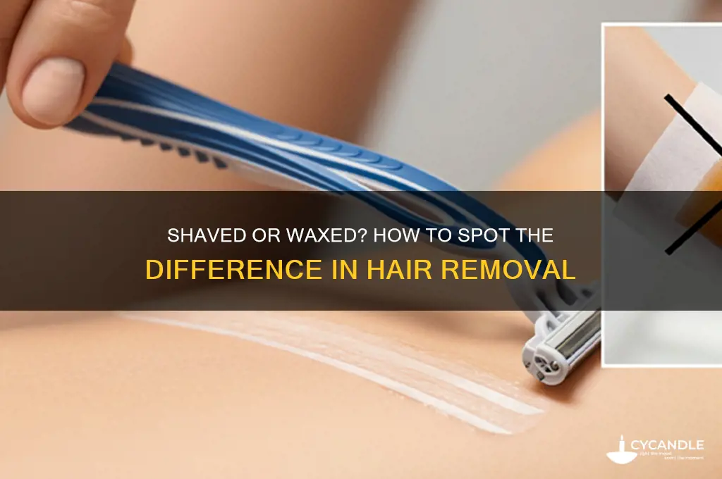 can you tell if somebody shaved or waxed
