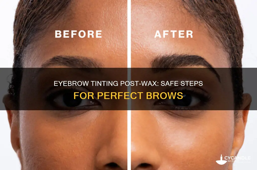 can you tint eyebrows after waxing